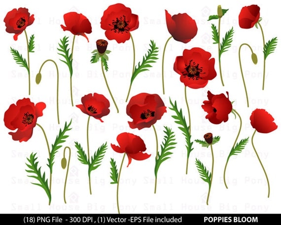 free poppy flower clip art - photo #40