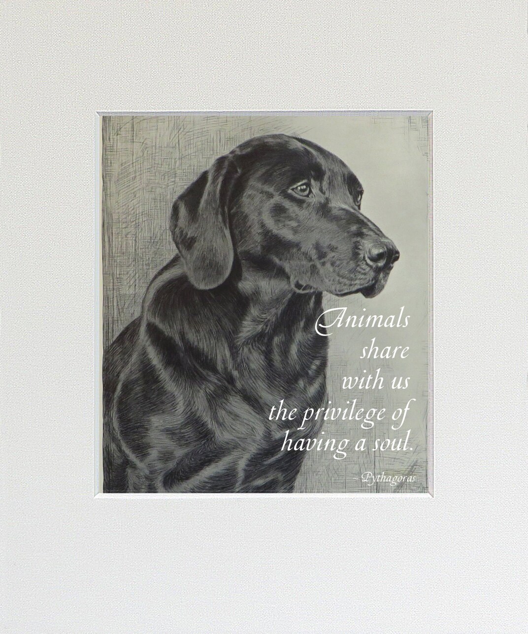 Inspirational Quote Black Lab Labrador Pet Gift by TheAntiqueDog