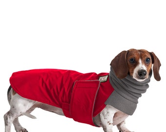 MINIATURE DACHSHUND Winter Coat Waterproof Dog Coat Dog
