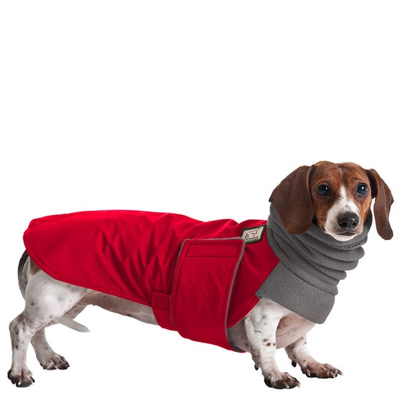 DACHSHUND Winter Dog Coat Winter Coat Waterproof Jacket