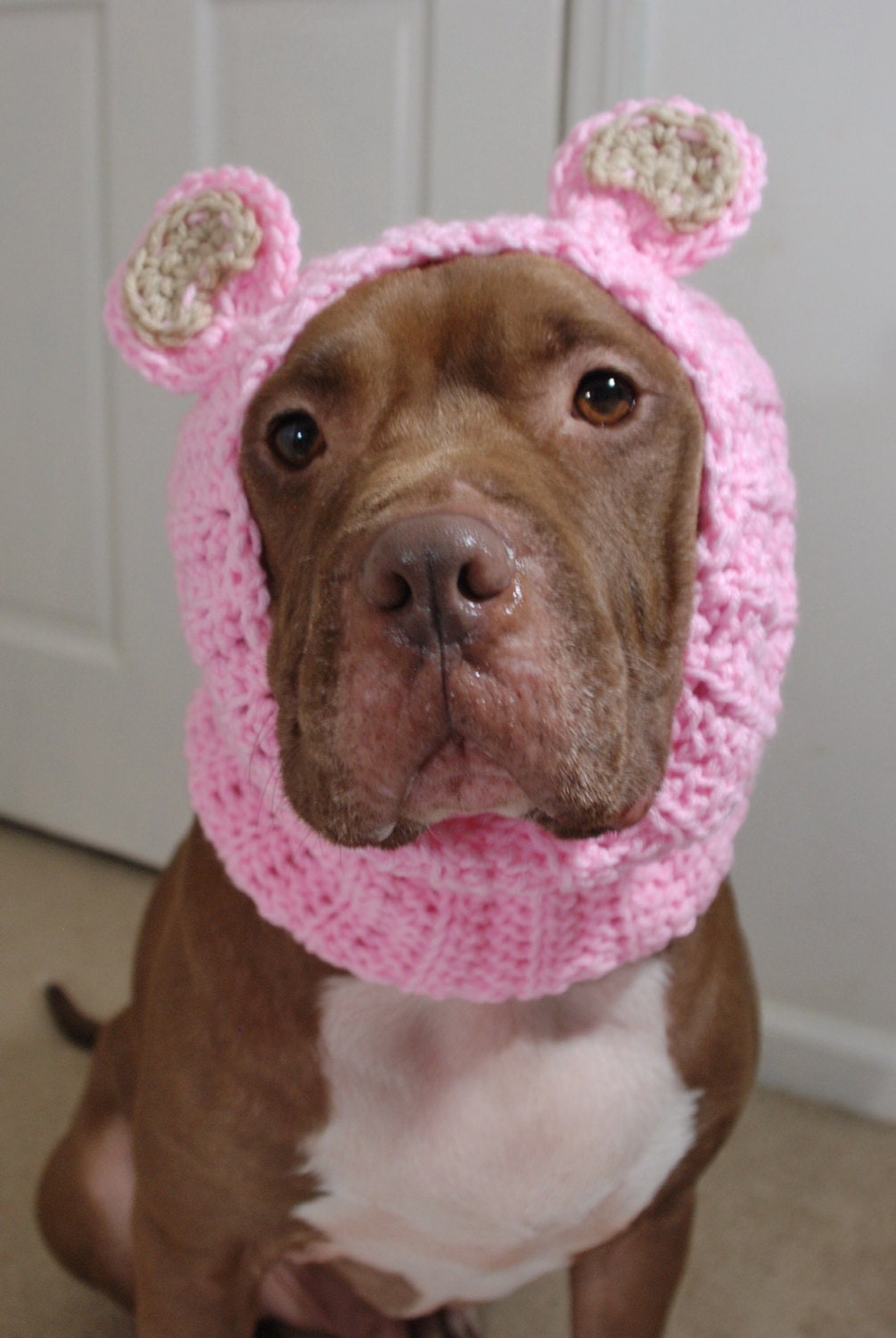 Dog Ear Warmer Pink Bear MADE TO ORDER
