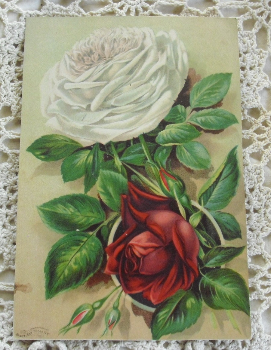 Antique Victorian Rose Print Chromolithograph By SepiaAntiques