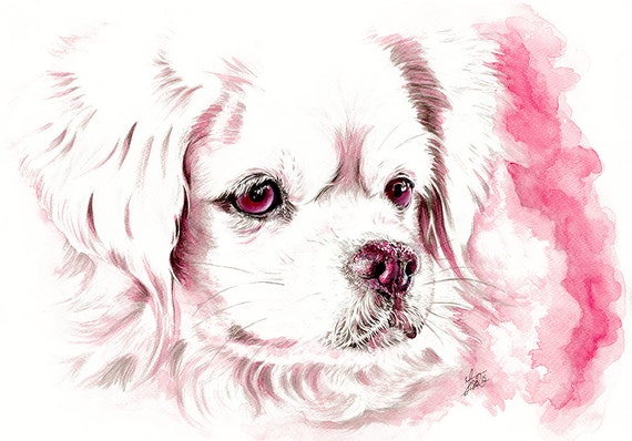 Dog Art Print - Pink dog art - A4 art print - Tibetan Spaniel - spaniel illustration - dog painting - home decor - dog lover gift - pink art