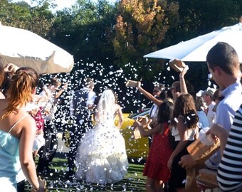 Heart Shaped Biodegradable Tossing Wedding Confetti