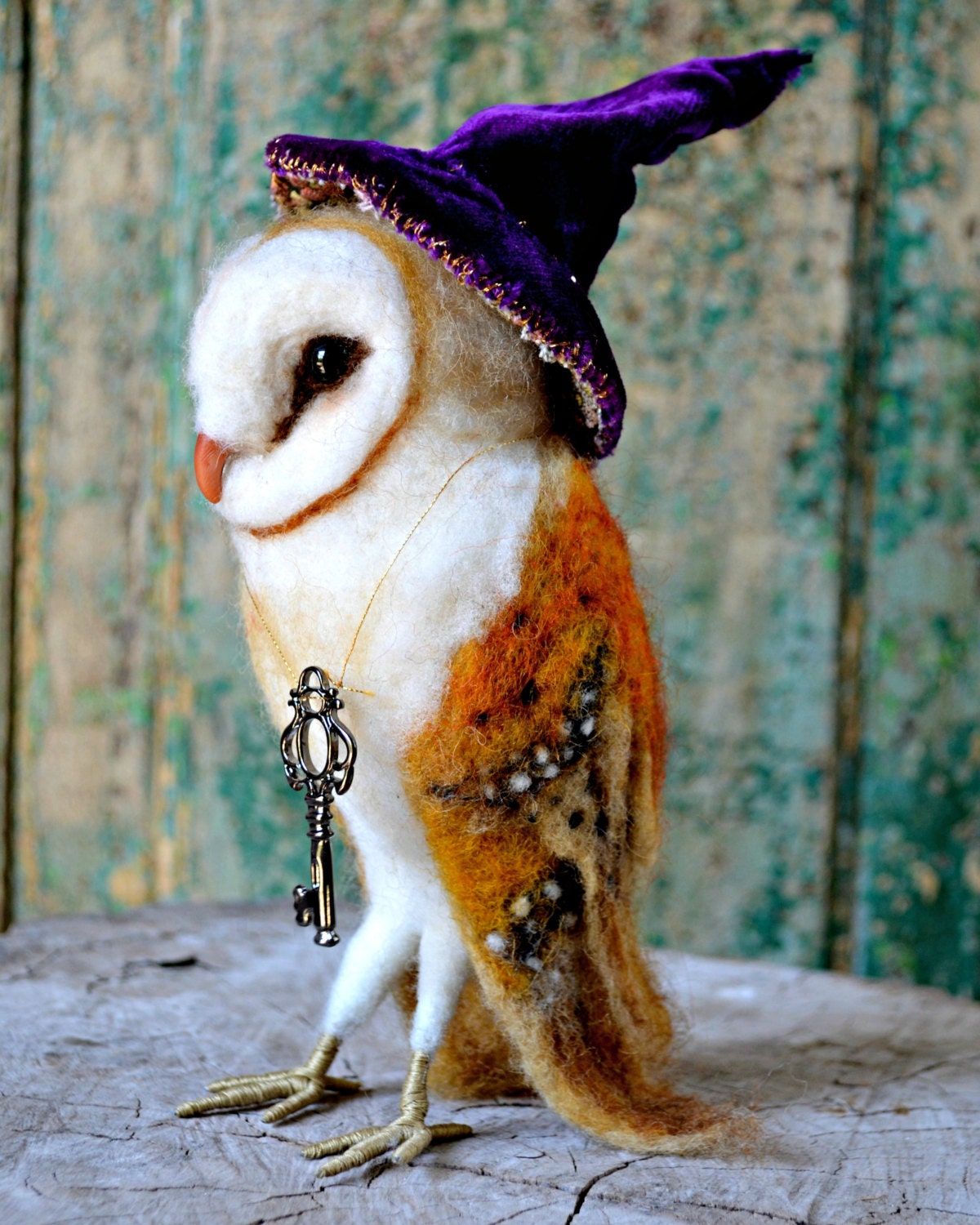 Witches And Owls Witches And Owls