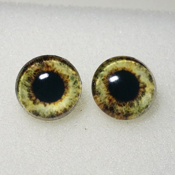 Taxidermy Glass Eyes Cabochons for Steampunk Jewelry