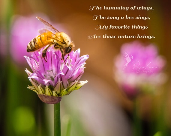 My Favorite Things Fine Art Print Poetry by RogueAuroraPhoto