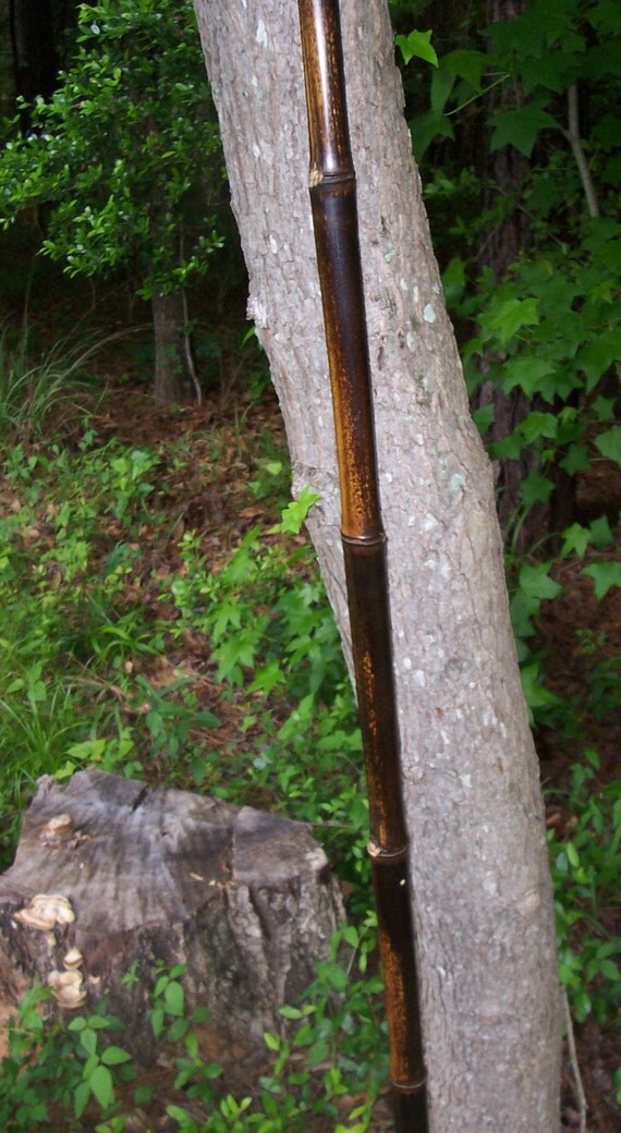 6' Black Bamboo Bo Staff Black Bamboo Filipino by BambooBoStaffs
