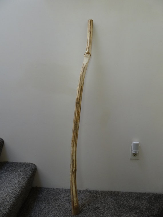 Walking Stick Devils Club Design your own by