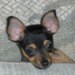 jenny4707