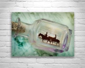 Horse on Beach Art, Silhouette Art, Beach Sunset Photography, Cowgirl Art, Fine Art Photography, 8 x 12, 11 x 17, 16 x 24, Murray Bolesta Horse on Beach Art, Silhouette Art, Beach Sunset Photography, Cowgirl Art, Fine Art Photography, 8 x 12, 11 x 17, 16 x 24, Murray Bolesta