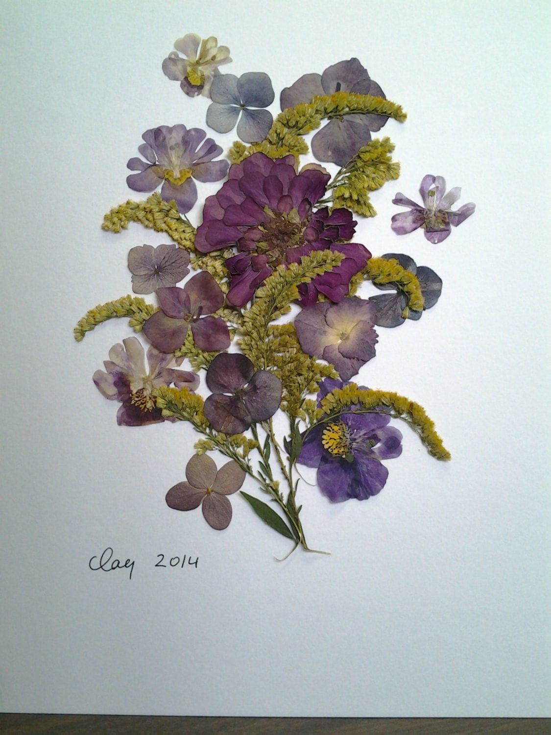 Pressed Flower Art XI Display of Real Pressed Flowers