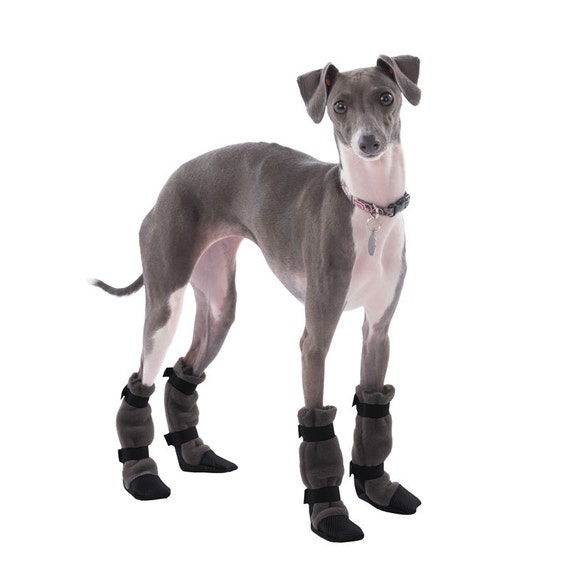 Booties, Dog Dog for greyhound ITALIAN Dog GREYHOUND dogs shoes Boots Booties,  Shoes,