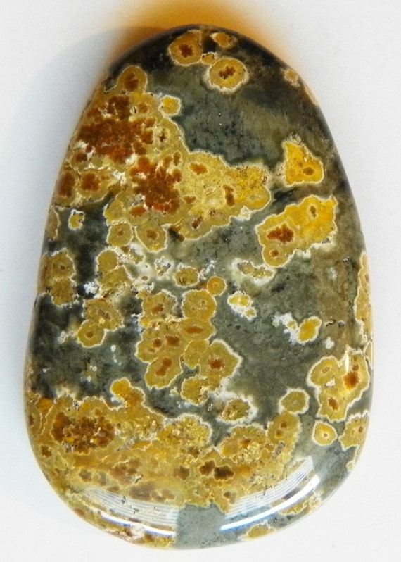 Green Ocean Jasper cabochon 8187