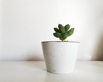Off-White Speckled Decorative Succulent Planter, Cute Ceramic Pot, Indoor Planter