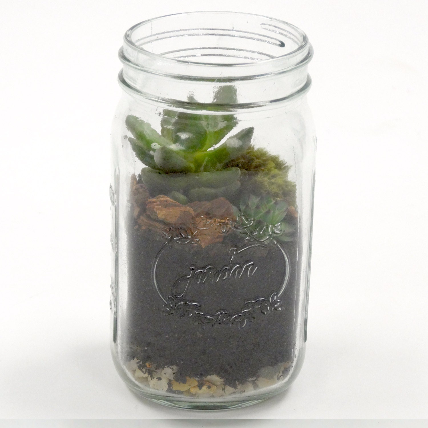 MASON JAR terrarium succulent terrarium mason jar gift for