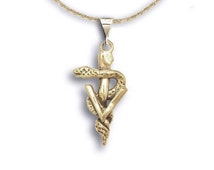 14K Gold Veterinary Caduceus Pendant