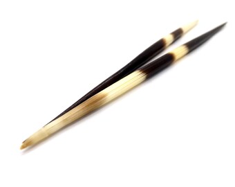 Porcupine Quills - Pack of 2