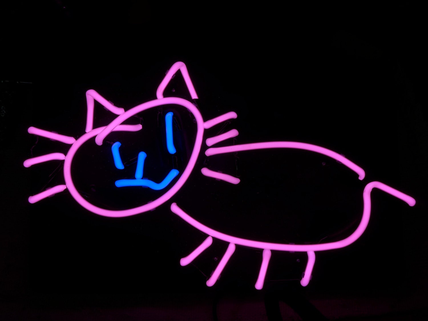 Cat for Kids Room or Whatever Neon Art Wall Hanging Modern