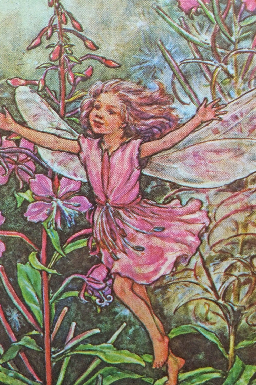 Rose-Bay Willow-Herb Fairy, Flower Fairies Picture, Cicely Mary Barker ...