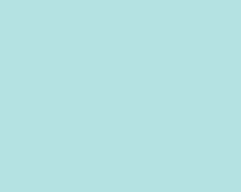 Bleached Denim Solid by Riley Blake Designs Fabric C100-32 sold By the Yard