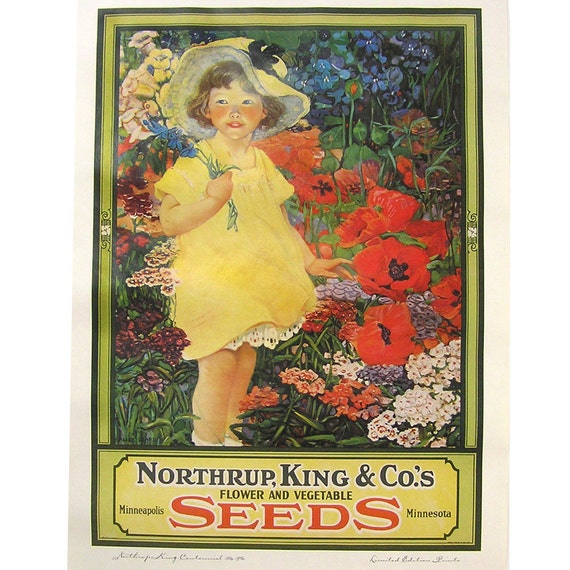 Vintage 1984 Northrup King Centennial Calendar Page with Girl