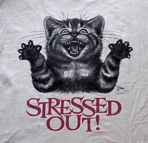 stressed out cat t shirt