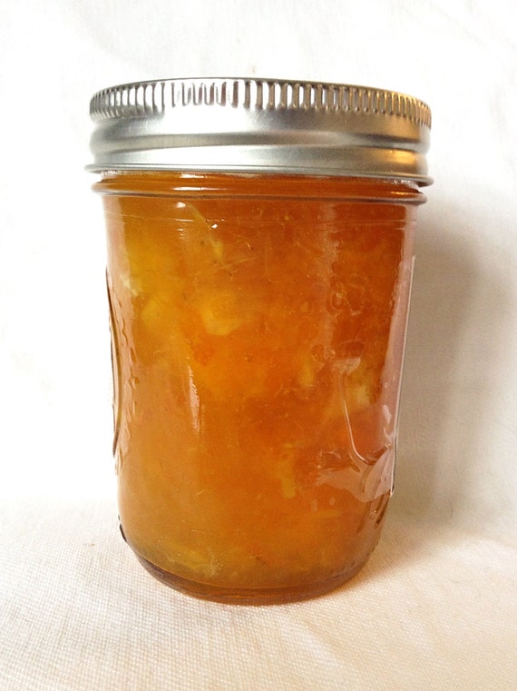 Homemade Orange Pineapple Marmalade All Natural Jam by Hipeecraft