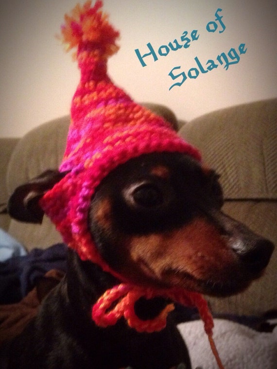 Orange Dog Hat Multicolored Dog Toque Dog Beanie Peruvian