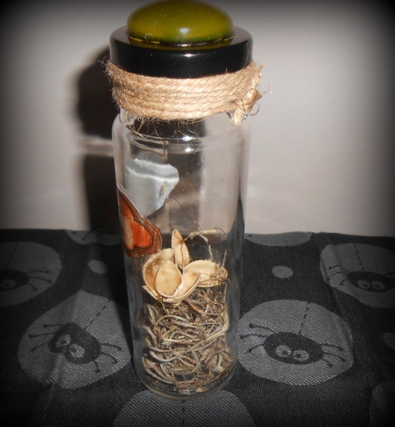 Halloween Prop Jar of Witch's Fungus Toenails by ATouchOfFright