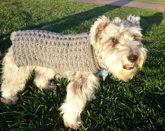 BB.103 - Comfy Cozy Dog Sweater - Bubble Stitch