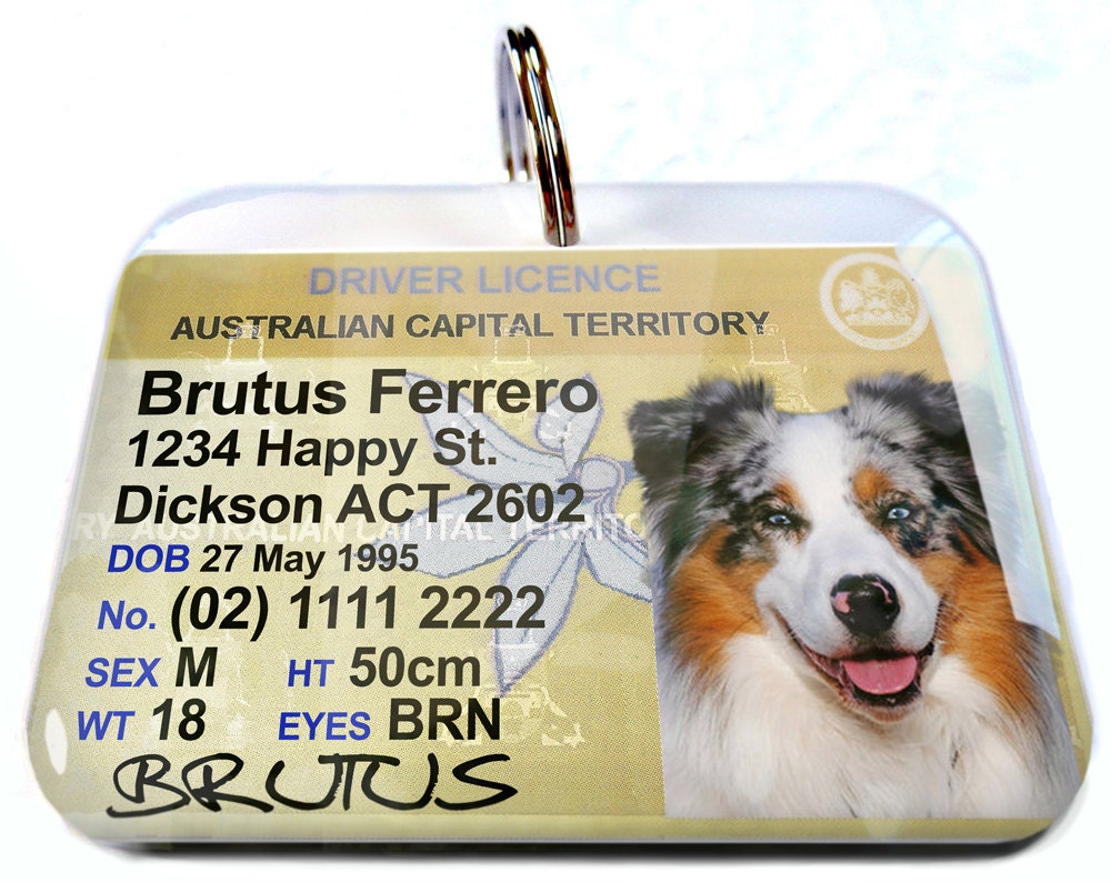 Australia driver license Australian Capital Territory ACT