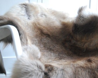 Reindeer Hide in Natural colour Beautiful Genuine Scandinavian Large Luxury Throw, hygge, retro, rug, skin, carpet,