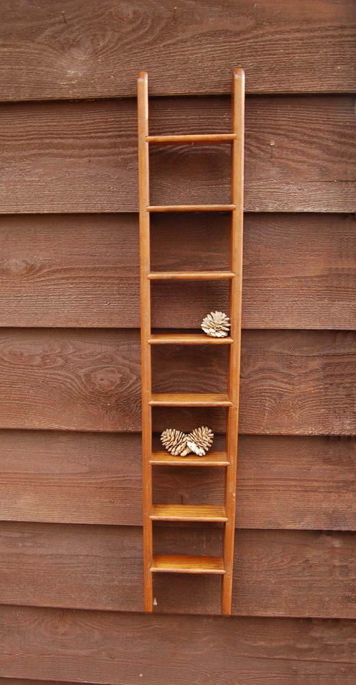 Wooden Ladder Wall Shelf, Vintage Ladder Display Shelf Haute Juice
