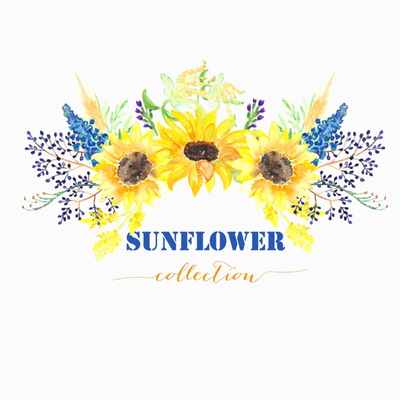 Sunflower watercolour clip art, Digital Watercolor clipart ...