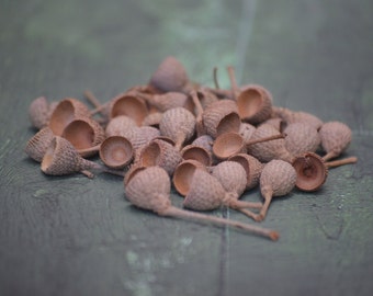 Acorn caps (100 count), nature curios and crafts, vase filler, rustic decor, fall decor, fall crafts