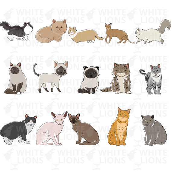 cat clip art etsy - photo #33