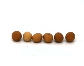 Six Loose Eggs Dolls House Miniature