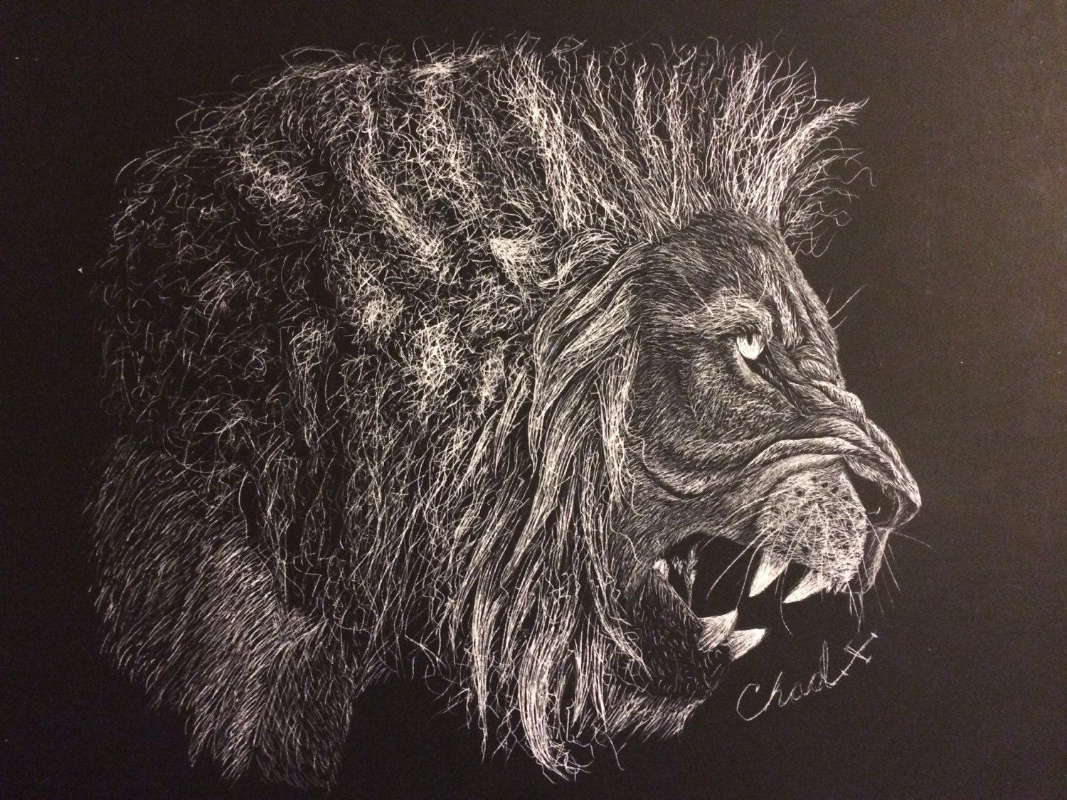 Lion scratchboard by ChadCrossArt on Etsy