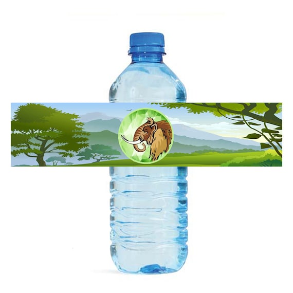 Items similar to Dinosaur Water Bottle Labels Birthday Printable ...
