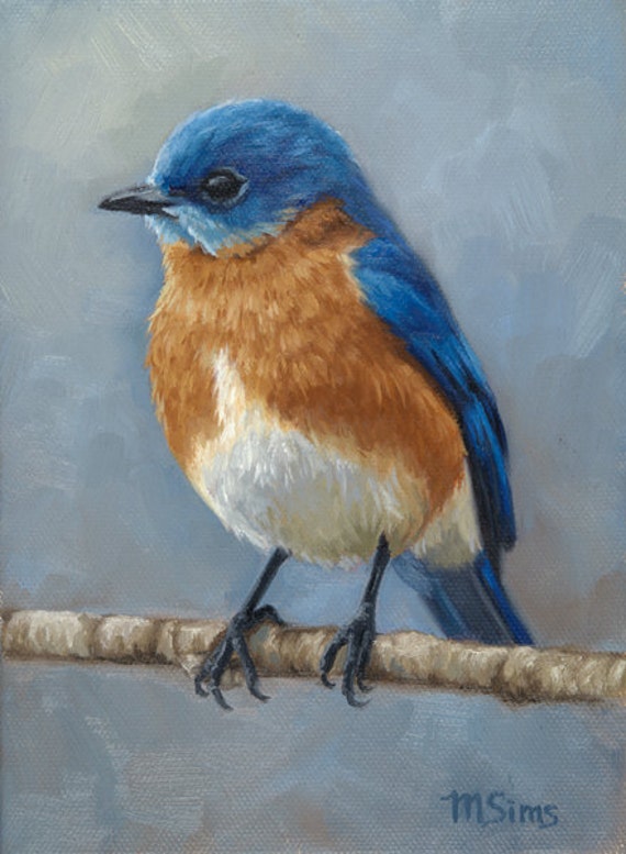 Eastern Bluebird - bird painting - Open edition print