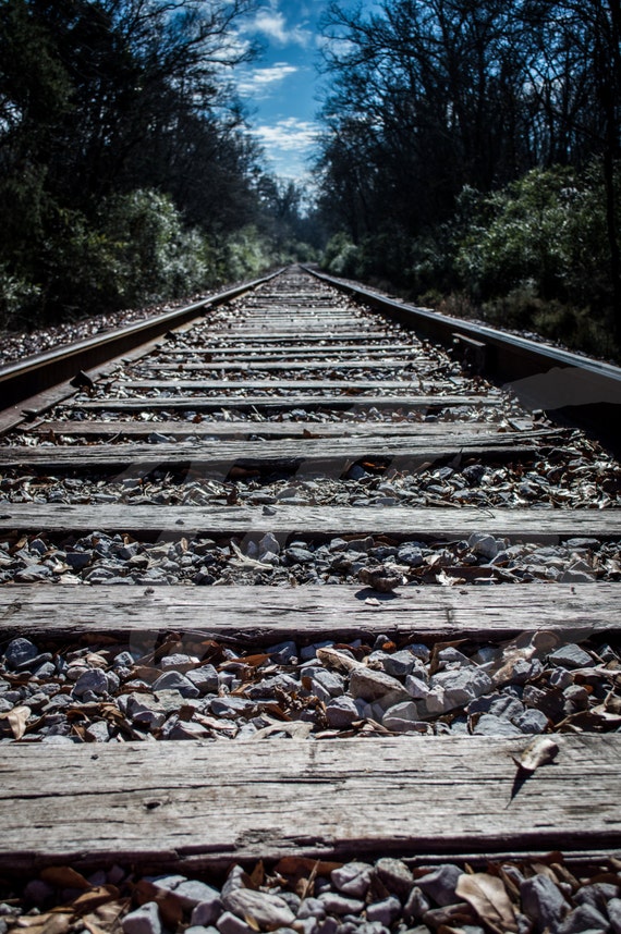 Portrait view of railroad tracks at Chickamauga by VSOutdoorSnaps