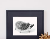 Hedgehog Art Print Hedgie Poster Home Decor Wall Art Wildlife Artwork Nature Decor Giclee Woodland Nursery Decor Black & White Photography