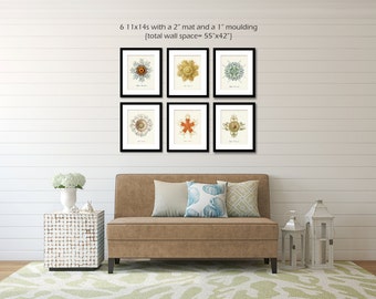 Coastal Print Set of 6, Coastal Decor, Coastal Wall Art, Starfish Jellyfish Art, Print, Nautical Wall Decor, Beach Decor Posters and Prints