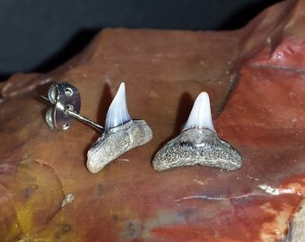 Items similar to Fossilized Shark Tooth and Pyrite Cuff Bracelet on Etsy
