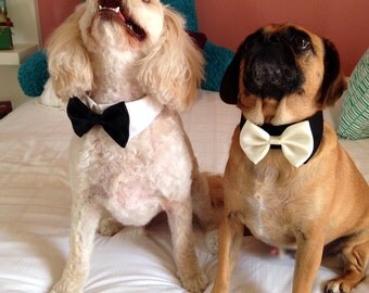 More Colors Available- Dog bow tie collar, dog tuxedo collar, dog bowtie, dog formal collar, pet bow tie, pet / dog wedding bow tie