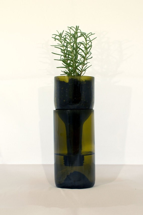 FREE SHIPPING Wine Bottle SelfWatering Planter Unique Gift