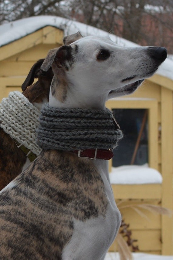 stuffed whippet dog