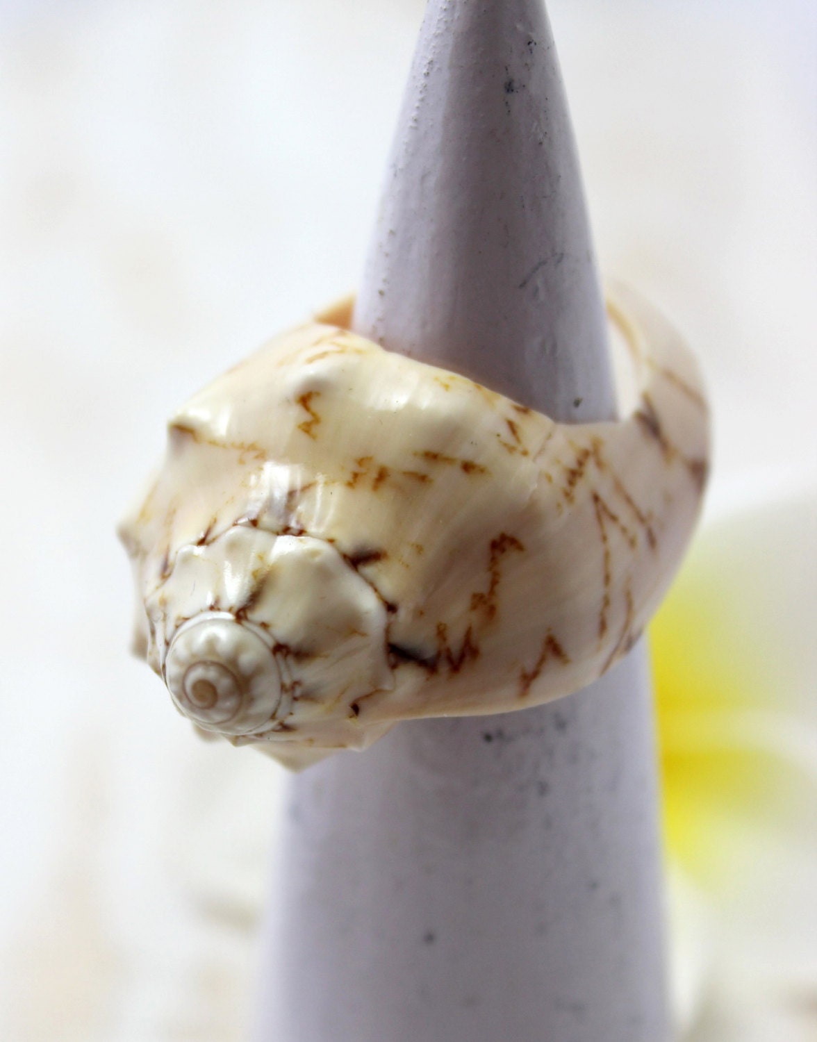 Real Conch Sea Shell Ring shells ring shells rings shell