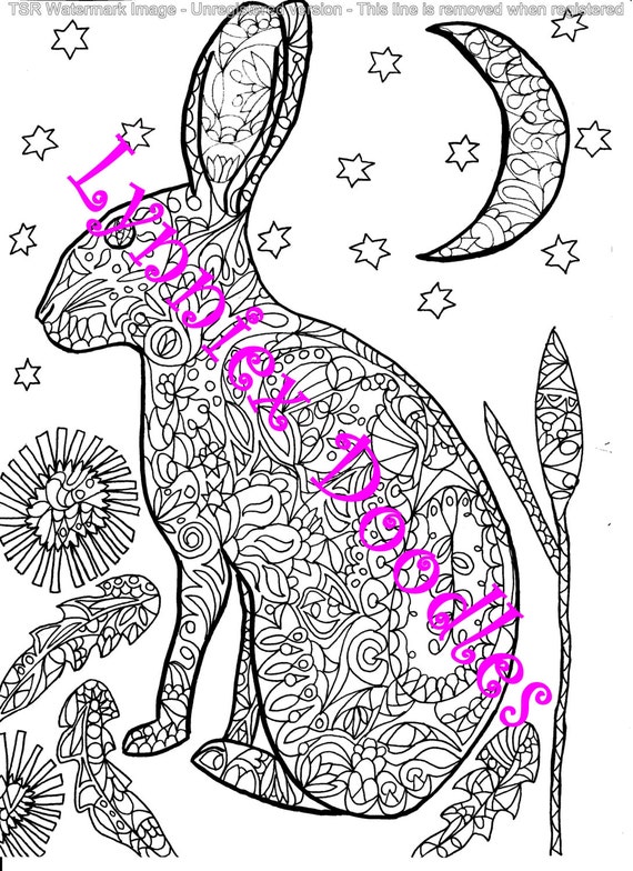 Moon hare-colouring/art therapy/zentangle page